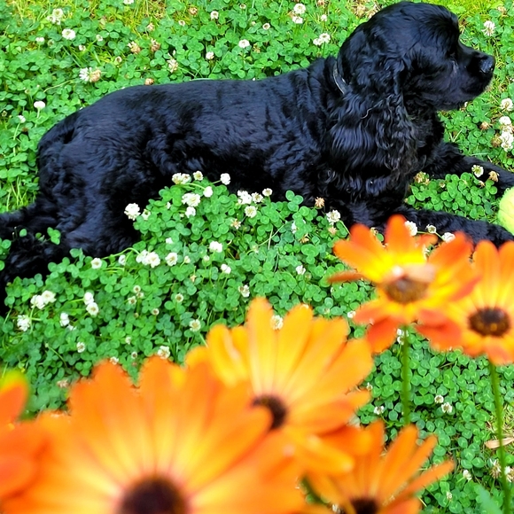 Meet your Posher, Alexandra - Picture 13 of 13